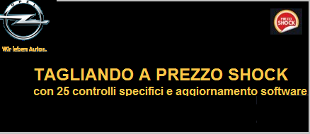 SU TUTTI I VEICOLI OPEL, TAGLIANDO ECOFLEX A PREZZO FLAT