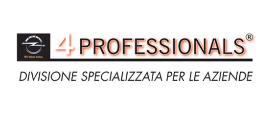 Veicoli4professionals